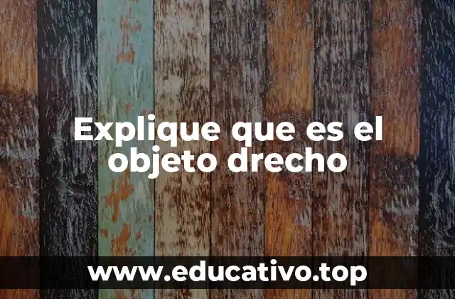 Explique que es el objeto drecho