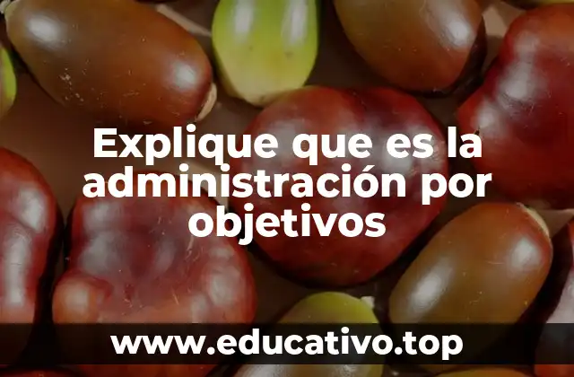 Explique que es la administración por objetivos