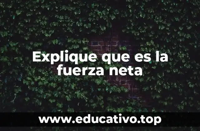 Explique que es la fuerza neta