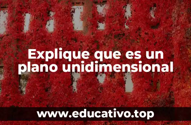 Explique que es un plano unidimensional