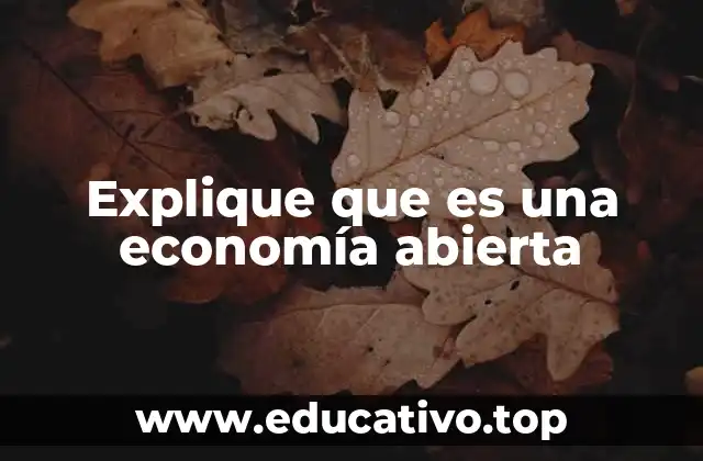 Explique que es una economía abierta