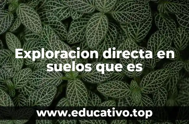 Exploracion directa en suelos que es