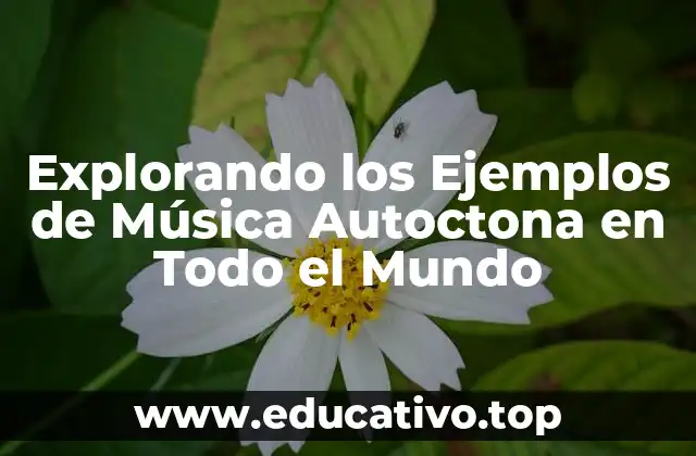 Explorando los Ejemplos de Música Autoctona en Todo el Mundo