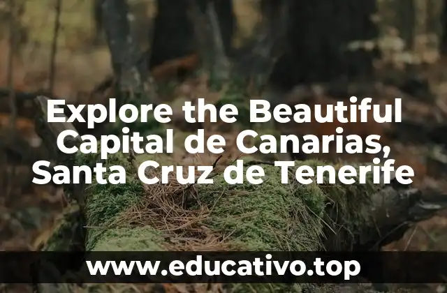 Explore the Beautiful Capital de Canarias, Santa Cruz de Tenerife