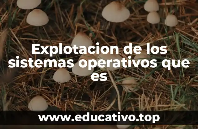 Explotacion de los sistemas operativos que es