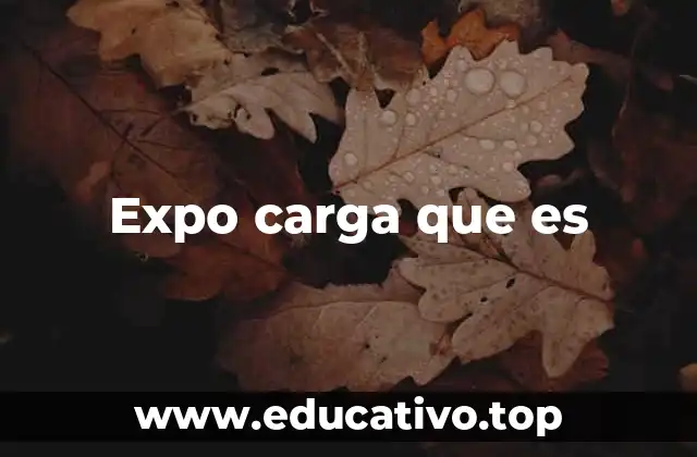 Expo carga que es