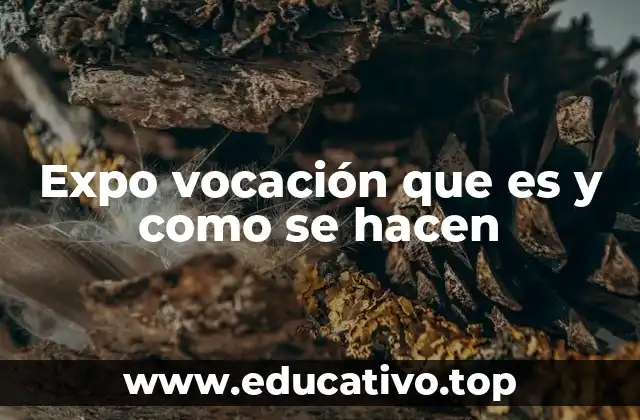 Expo vocación que es y como se hacen