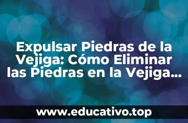 Expulsar Piedras de la Vejiga: Cómo Eliminar las Piedras en la Vejiga Urinaria