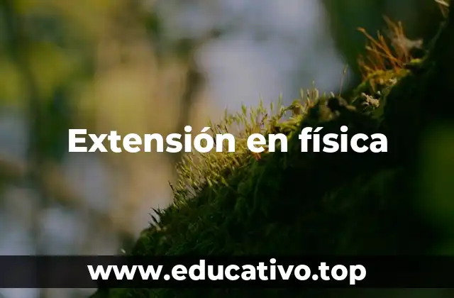 Extensión en física