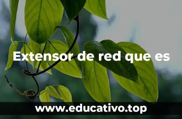 Extensor de red que es