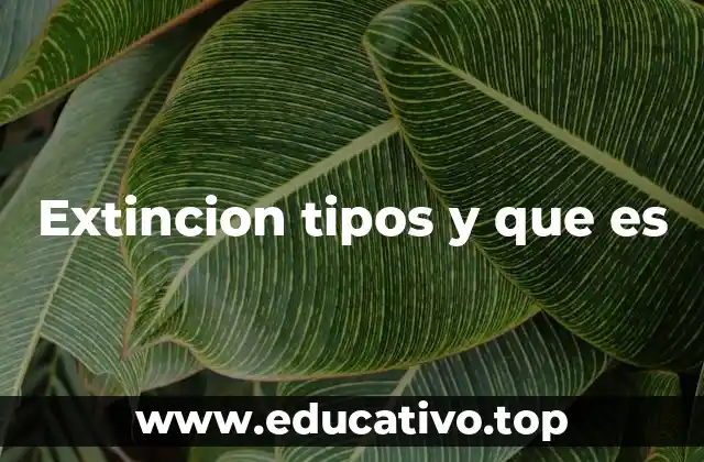 Extincion tipos y que es