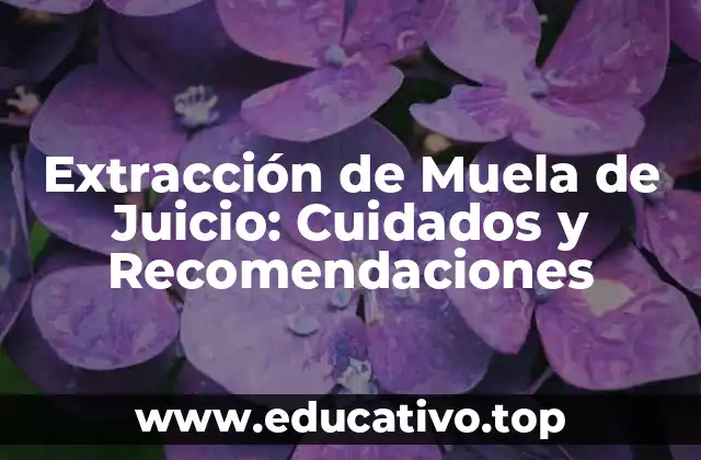 Extracción de Muela de Juicio: Cuidados y Recomendaciones