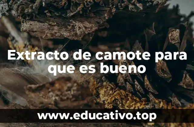 Extracto de camote para que es bueno
