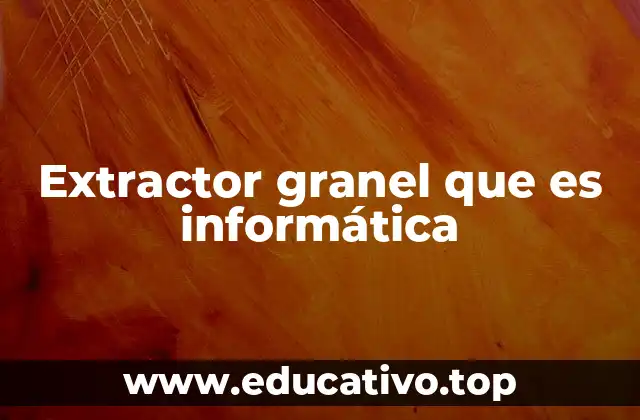 Extractor granel que es informática