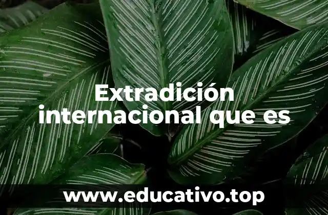 Extradición internacional que es