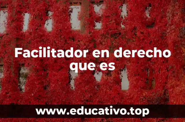 Facilitador en derecho que es