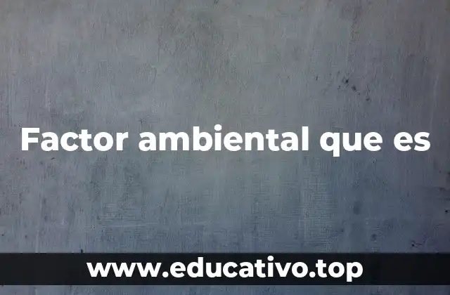 Factor ambiental que es