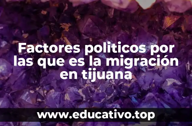 La relación entre el poder político y la dinámica migratoria en la frontera sur de México