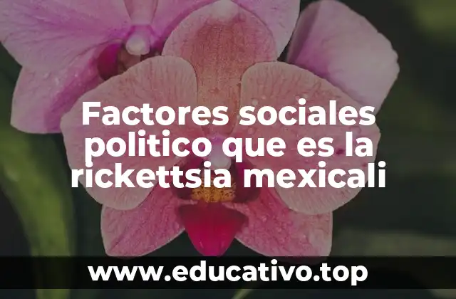 Factores sociales politico que es la rickettsia mexicali