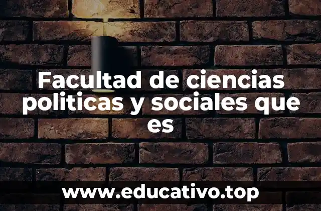 La interacción entre política y sociedad