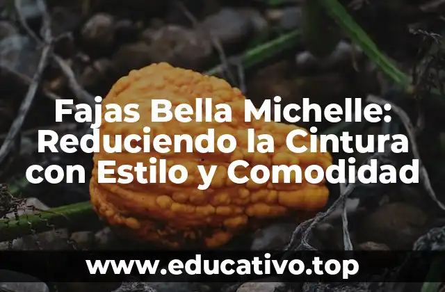 Fajas Bella Michelle: Reduciendo la Cintura con Estilo y Comodidad