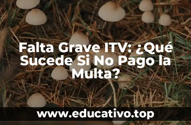 Falta Grave ITV: ¿Qué Sucede Si No Pago la Multa?