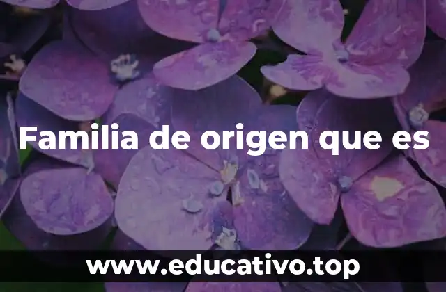 Familia de origen que es