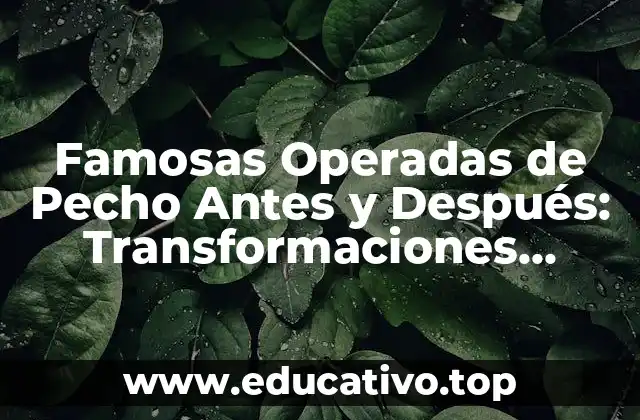 Famosas Operadas de Pecho Antes y Después: Transformaciones Sorprendentes