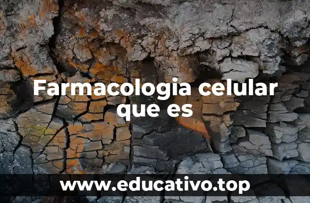 Farmacologia celular que es