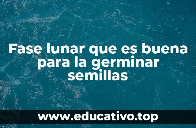 Fase lunar que es buena para la germinar semillas