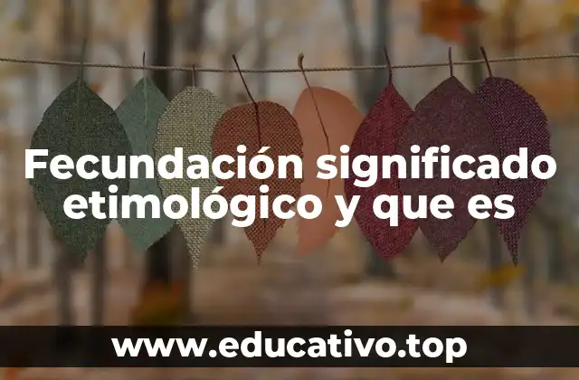 El proceso biológico detrás de la formación de nuevos individuos