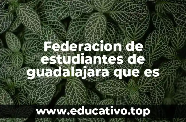 El papel de los estudiantes en la organización de Guadalajara