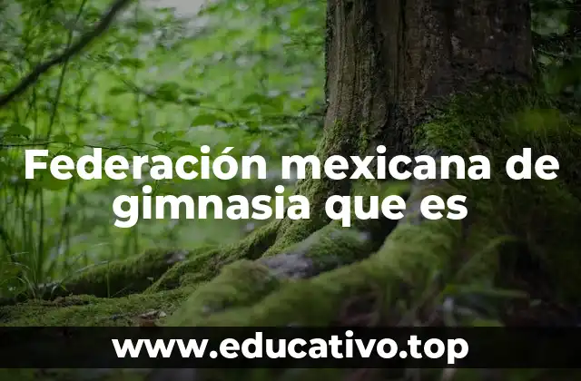 Federación mexicana de gimnasia que es