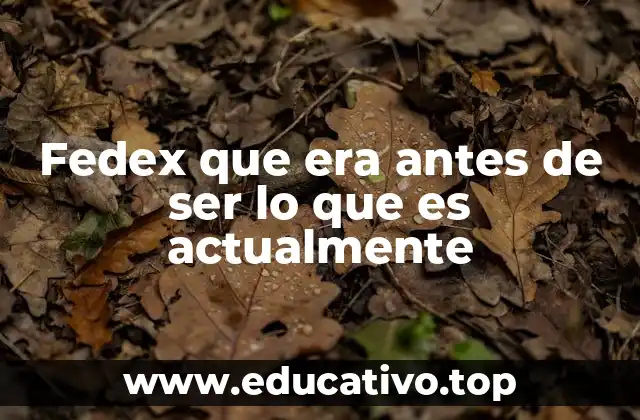 Fedex que era antes de ser lo que es actualmente