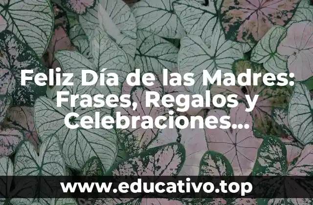 Feliz Día de las Madres: Frases, Regalos y Celebraciones Especiales para la Ocurrencia más Importante del Año