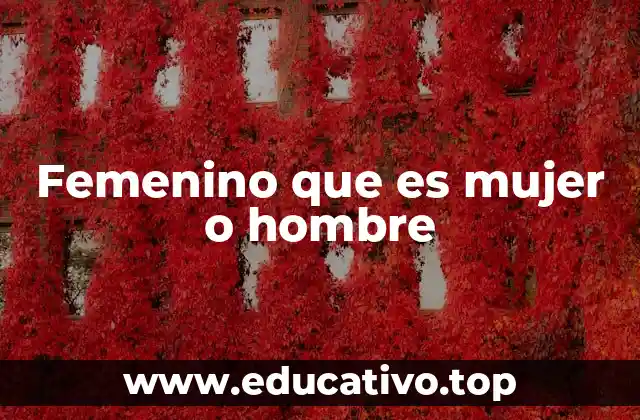 Femenino que es mujer o hombre