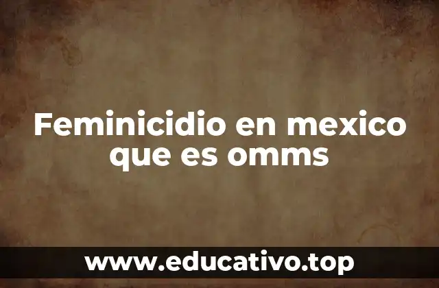Feminicidio en mexico que es omms