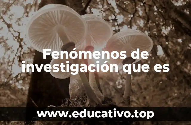 Fenómenos de investigación que es