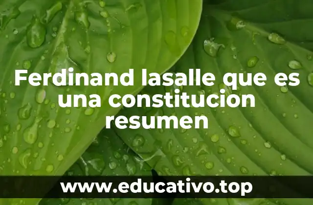 Ferdinand lasalle que es una constitucion resumen