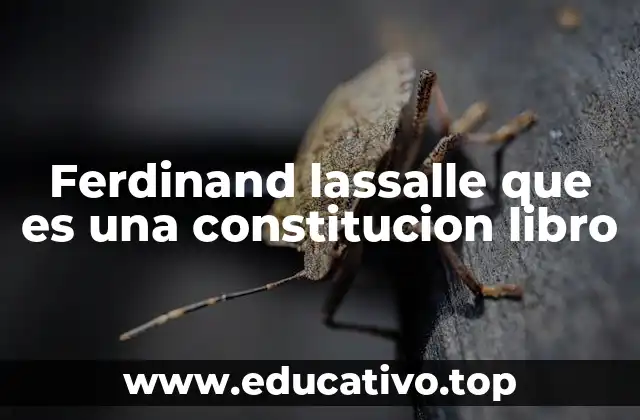 Ferdinand lassalle que es una constitucion libro