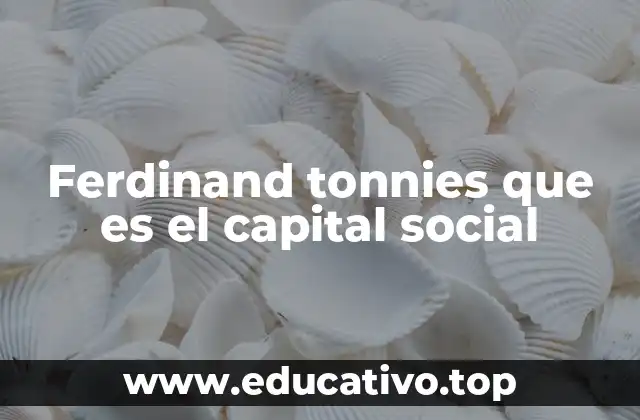 Las bases del capital social en la teoría sociológica