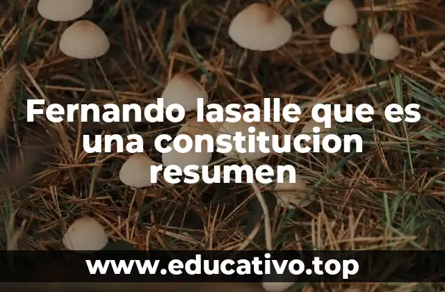 Fernando lasalle que es una constitucion resumen