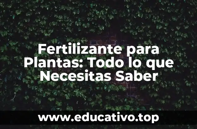 Fertilizante para Plantas: Todo lo que Necesitas Saber