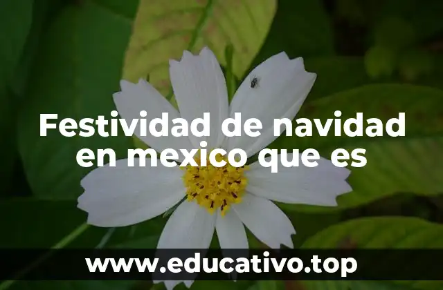Festividad de navidad en mexico que es