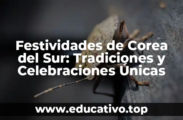 Festividades de Corea del Sur: Tradiciones y Celebraciones Únicas