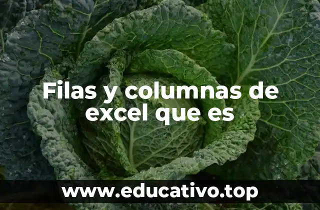 Filas y columnas de excel que es