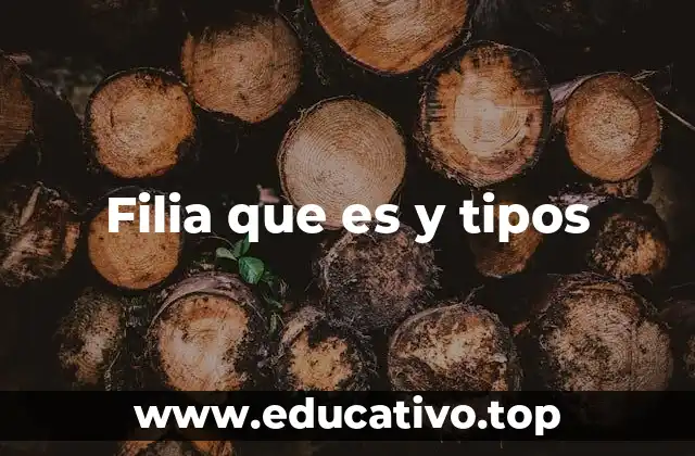 Filia que es y tipos