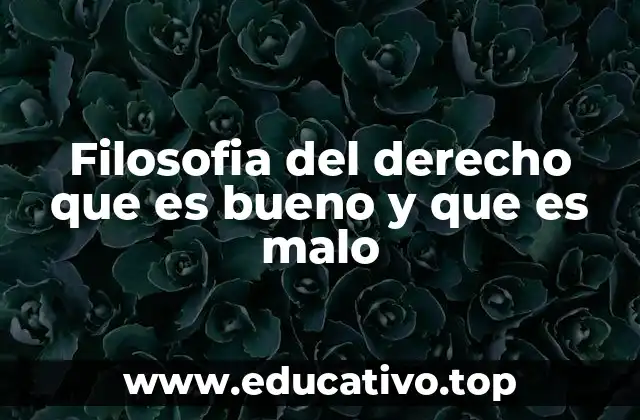 Filosofia del derecho que es bueno y que es malo