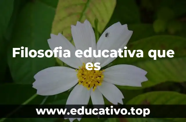 Filosofia educativa que es
