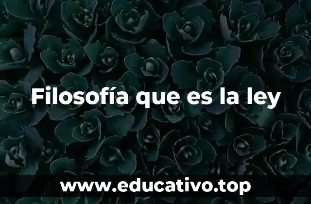 Filosofía que es la ley